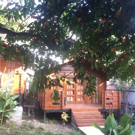 Cottage house New Athos Exterior foto